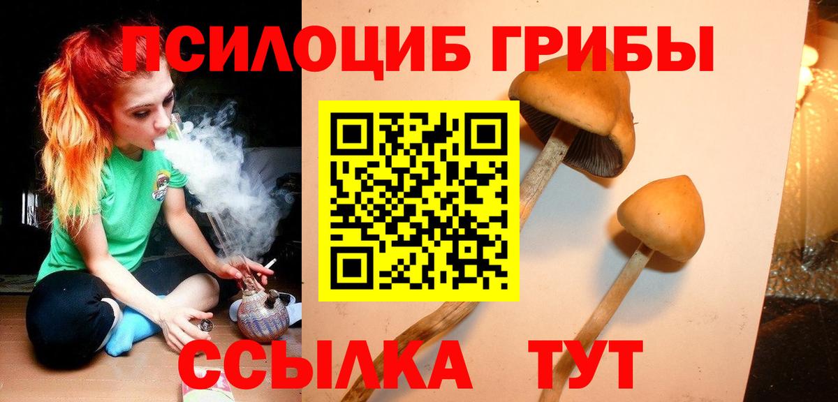Псилоцибиновые грибы мухоморы  Вход с VPN  Павловский Посад 